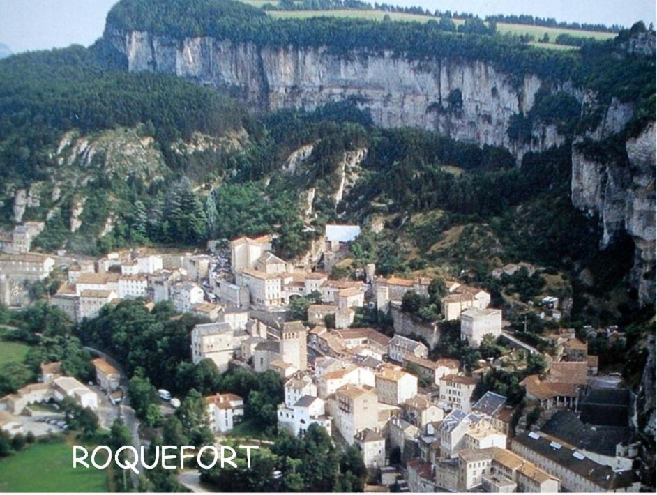 Chambre Au Calme Avec Spa Privatif Gratuit Sud Aveyron Les Palmiers Des Causses Saint-Rome-de-Tarn Eksteriør bilde